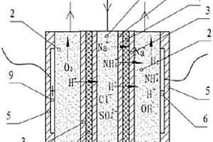 用于氫電導(dǎo)率在線監(jiān)測(cè)的自動(dòng)電去離子裝置