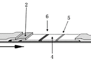 新型免疫層析試紙條及其制備方法
