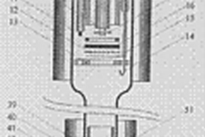 直接碳燃料電池反應(yīng)裝置