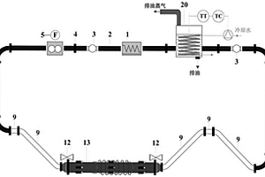 模擬山區(qū)天然氣管道噴射火對油管影響的環(huán)道系統(tǒng)和方法