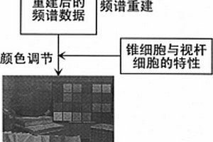 暗環(huán)境下人眼視覺系統(tǒng)感知效果的合成方法