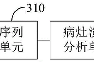 DR病灶演化分析裝置和方法