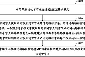 流量工程隧道的檢測方法、裝置及系統(tǒng)