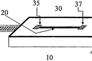 用于監(jiān)測心臟標記分子的可植入性生物傳感器裝置