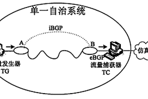 自治系統(tǒng)網(wǎng)絡(luò)路由收斂性能測(cè)試方法