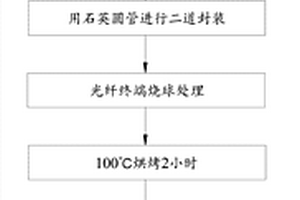 光纖耦合器及其制備方法和封裝失效的檢測(cè)方法