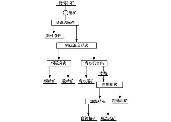 從鎢銅硫礦石中綜合回收黃銅礦、白鎢礦和硫鐵礦的選礦方法