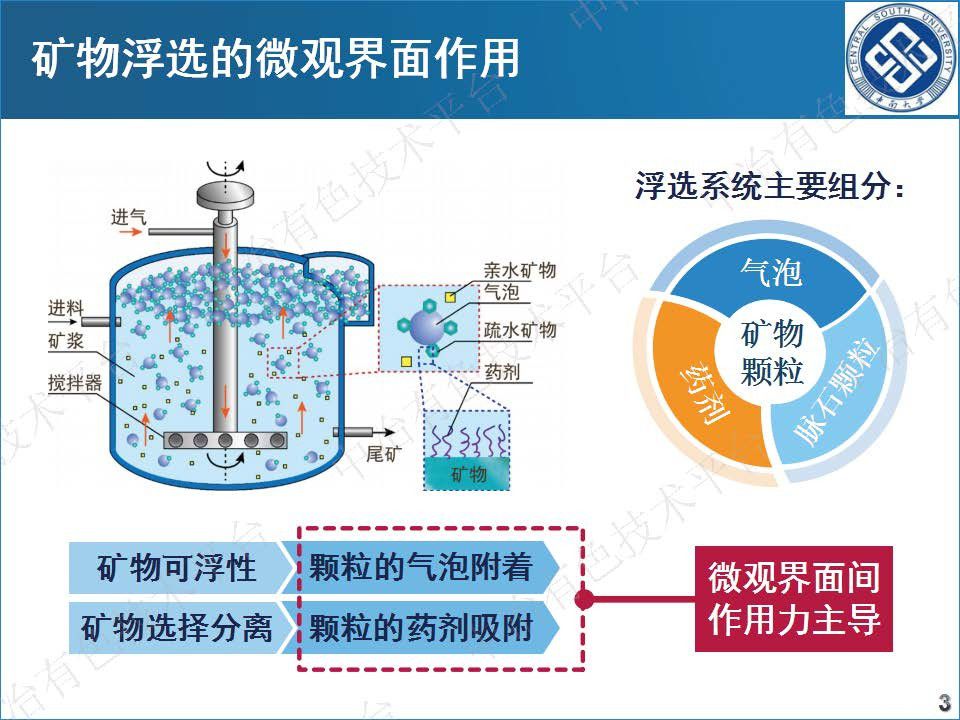 硫化礦浮選的微觀界面作用