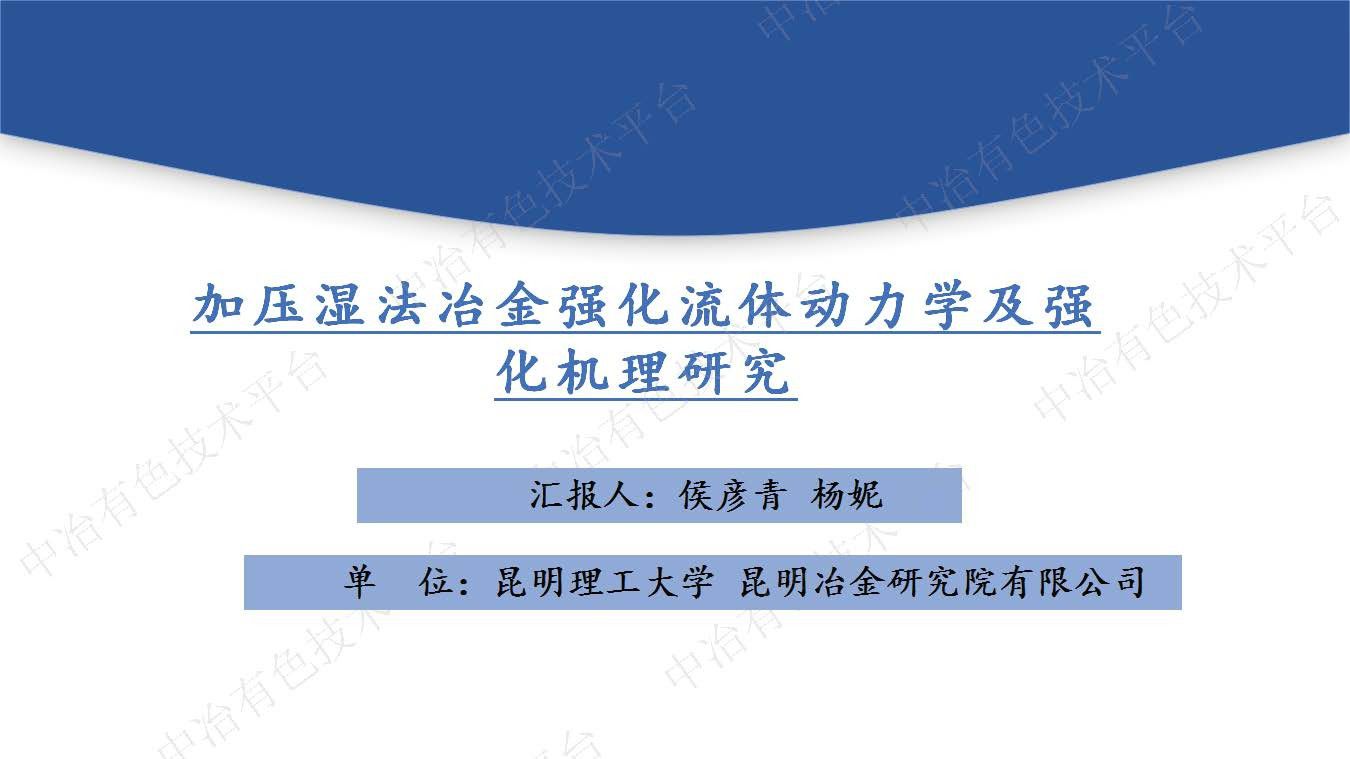 加壓濕法冶金強化流體動力學(xué)及強化機理研究