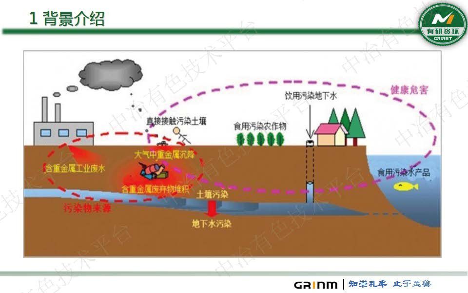 微生物法重金屬固化穩(wěn)定化及生態(tài)修復(fù)技術(shù)