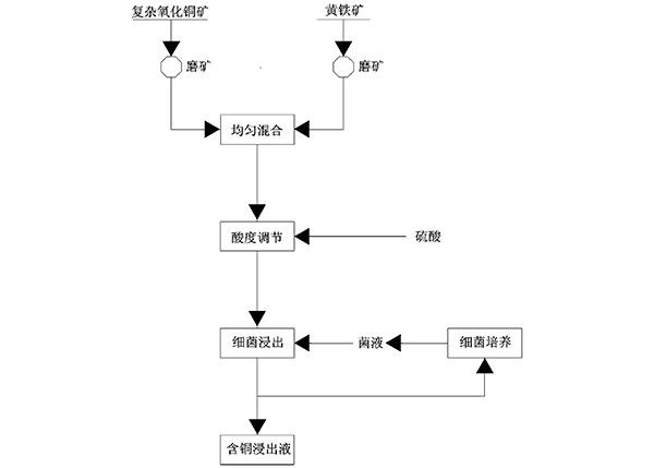 含多種銅礦物的復(fù)雜氧化銅礦的細(xì)菌浸出方法