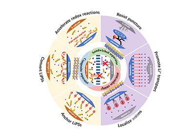 技術(shù) | 隔膜材料雙界面調(diào)控可同時(shí)解決Li-S電池的兩大核心問(wèn)題
