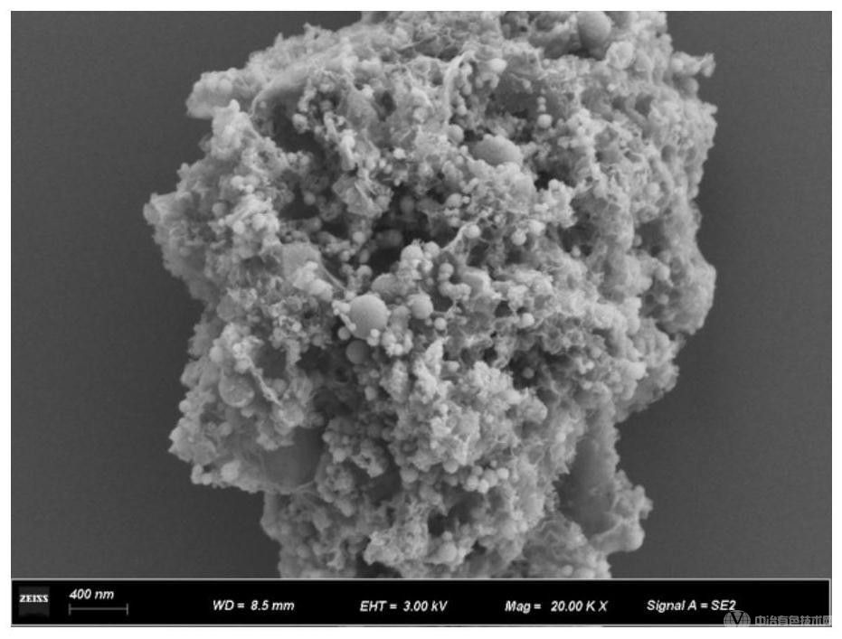 利用水熱氧化法處理生活垃圾焚燒飛灰重金屬的方法