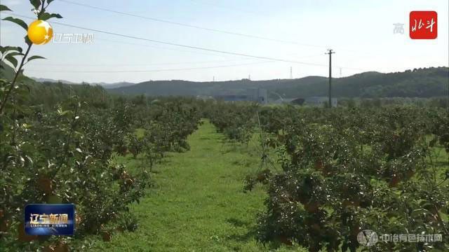 遼寧：全面開啟綠色礦山建設