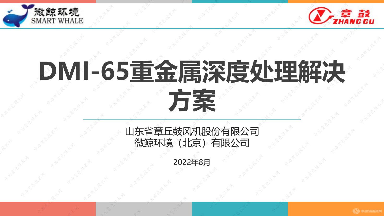 DMI-65重金屬深度處理解決方案