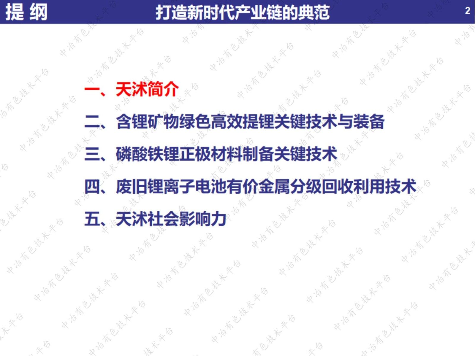 鋰基材料綠色節(jié)能制備關(guān)鍵技術(shù)及裝備——打造新時代產(chǎn)業(yè)鏈的典范