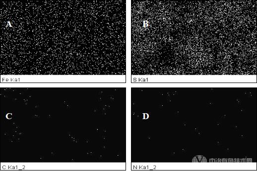 圖9吸附氫氰根后黃鐵礦顆粒的SEM(圖7)的元素面掃描圖像