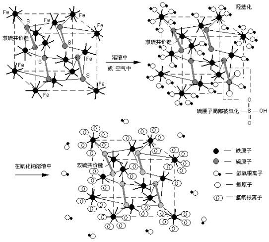 黃鐵晶格顆粒晶格表面鐵原子羥基化或硫原子氧化情況及與氫氰根吸附示意圖