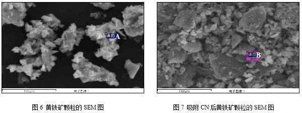 圖6 黃鐵礦顆粒的SEM圖 圖7 吸附CN-后黃鐵礦顆粒的SEM圖