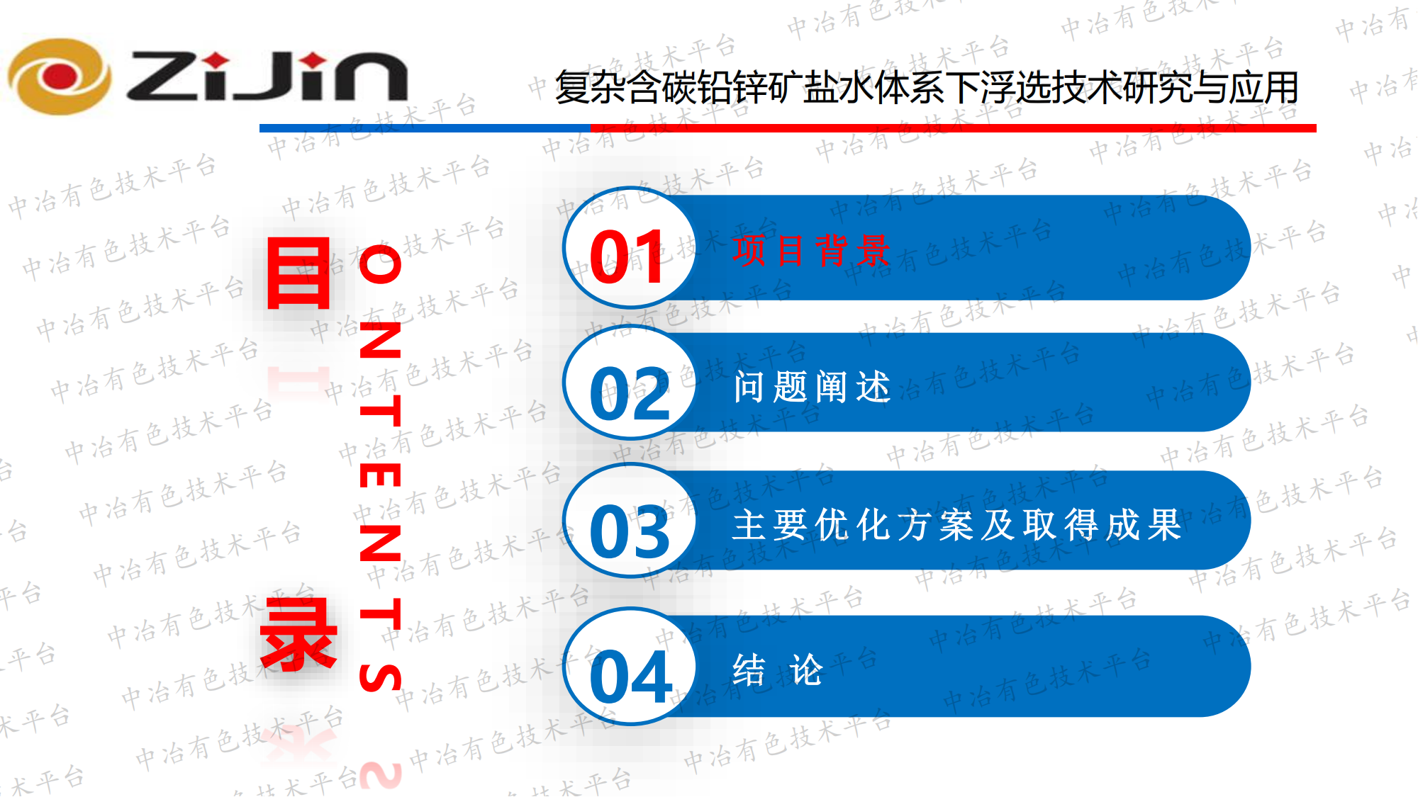 復(fù)雜含碳鉛鋅礦鹽水體系下浮選技術(shù) 研究與應(yīng)用