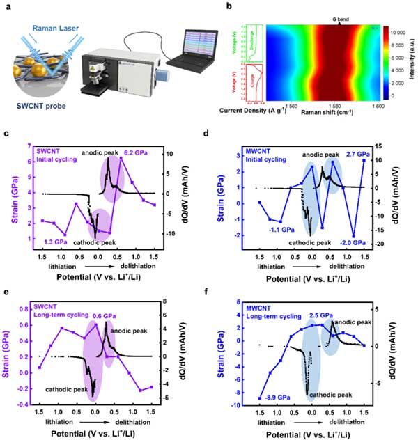 原位拉曼光譜檢測循環(huán)過程中SWCNT和MWCNT的應力變化