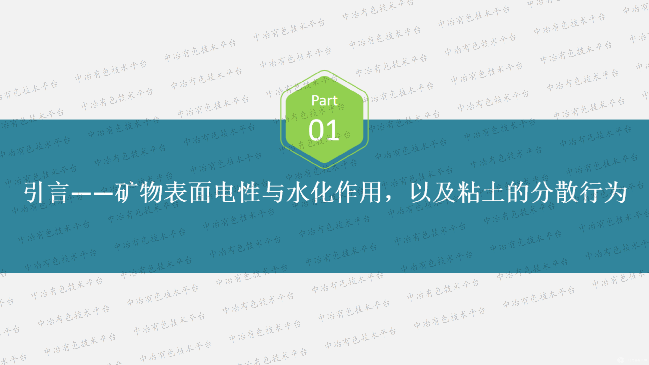 微細(xì)尾礦固液分離界面化學(xué)基礎(chǔ)研究