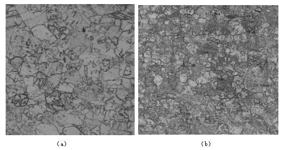 兩種方案生產(chǎn)出銀板的顯微組織-200倍