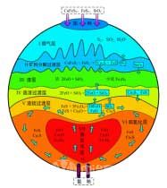 銅富氧底吹熔池熔煉機理模型橫截面(A截面)示意圖