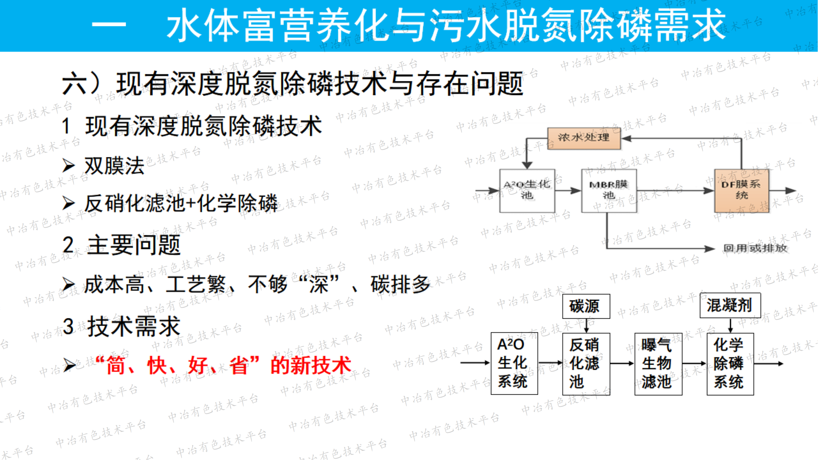 基于硫鐵礦的低碳、高效、深度、同步脫氮除磷技術(shù)（SMS）研究