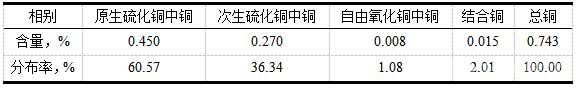 礦樣銅物相分析結(jié)果