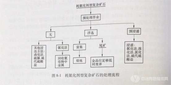 耗氰化劑型復(fù)雜礦石的處理流程