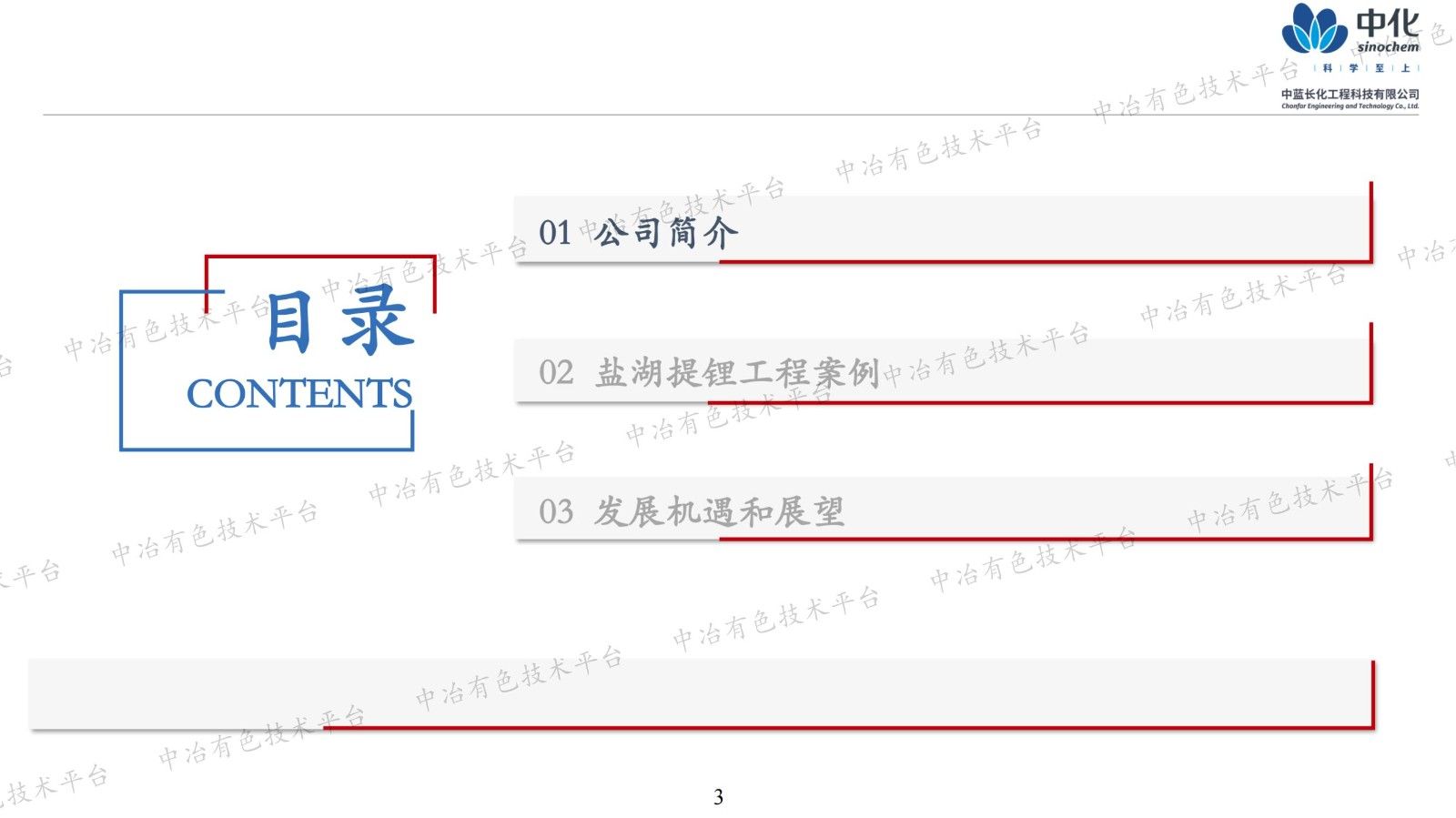 鹽湖提鋰典型工程案例簡析