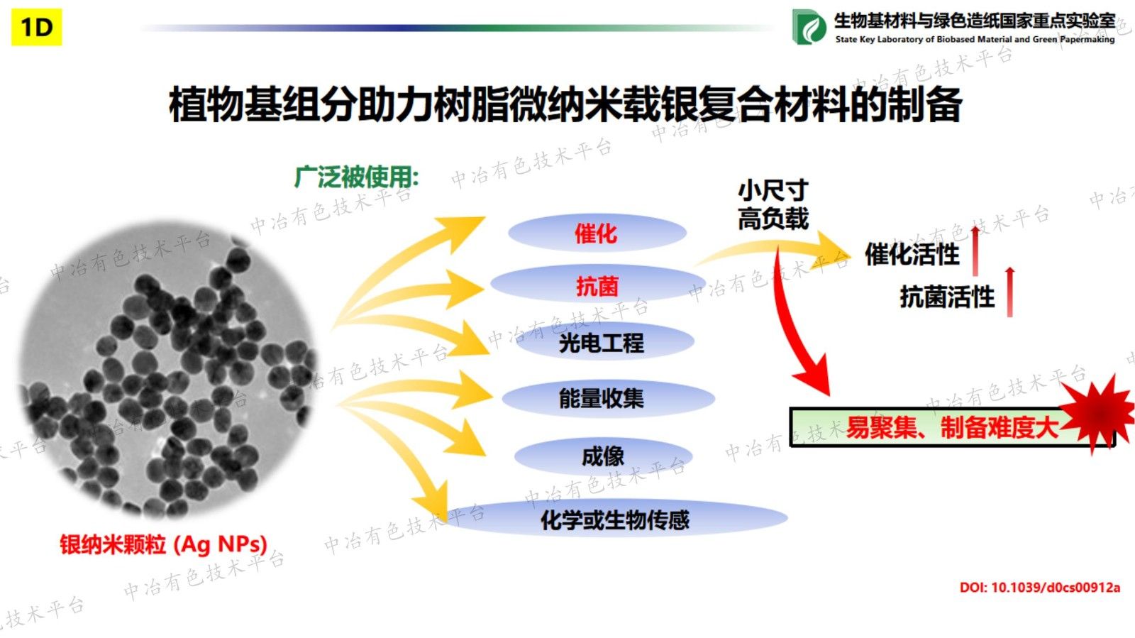 生物基樹脂微納米材料的可控構筑及其在催化、功能材料領域的應用