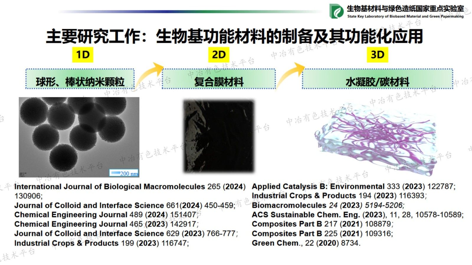 生物基樹脂微納米材料的可控構筑及其在催化、功能材料領域的應用