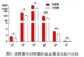 選育菌與對照菌的重金屬浸出能力比較