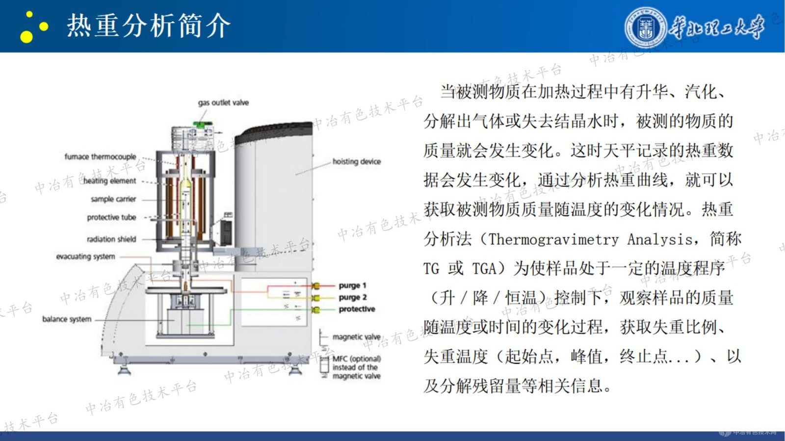 焦炭熱解交互行為與氣孔形成