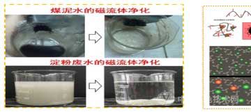 固體懸浮物、高濃度有機(jī)物的高磁凈化技術(shù)及裝備