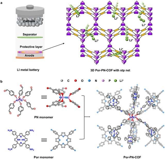 具有密集親鋰位點(diǎn)的三維共價(jià)有機(jī)框架保護(hù)層助力高性能鋰金屬電池