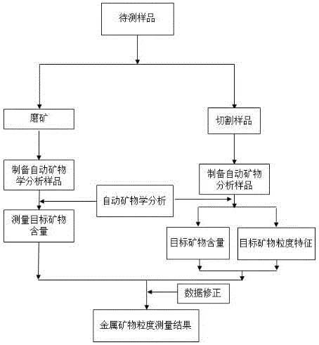 金屬礦物粒度的測量方法