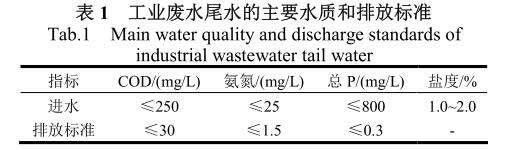 工業(yè)廢水尾水深度處理芬頓氧化法