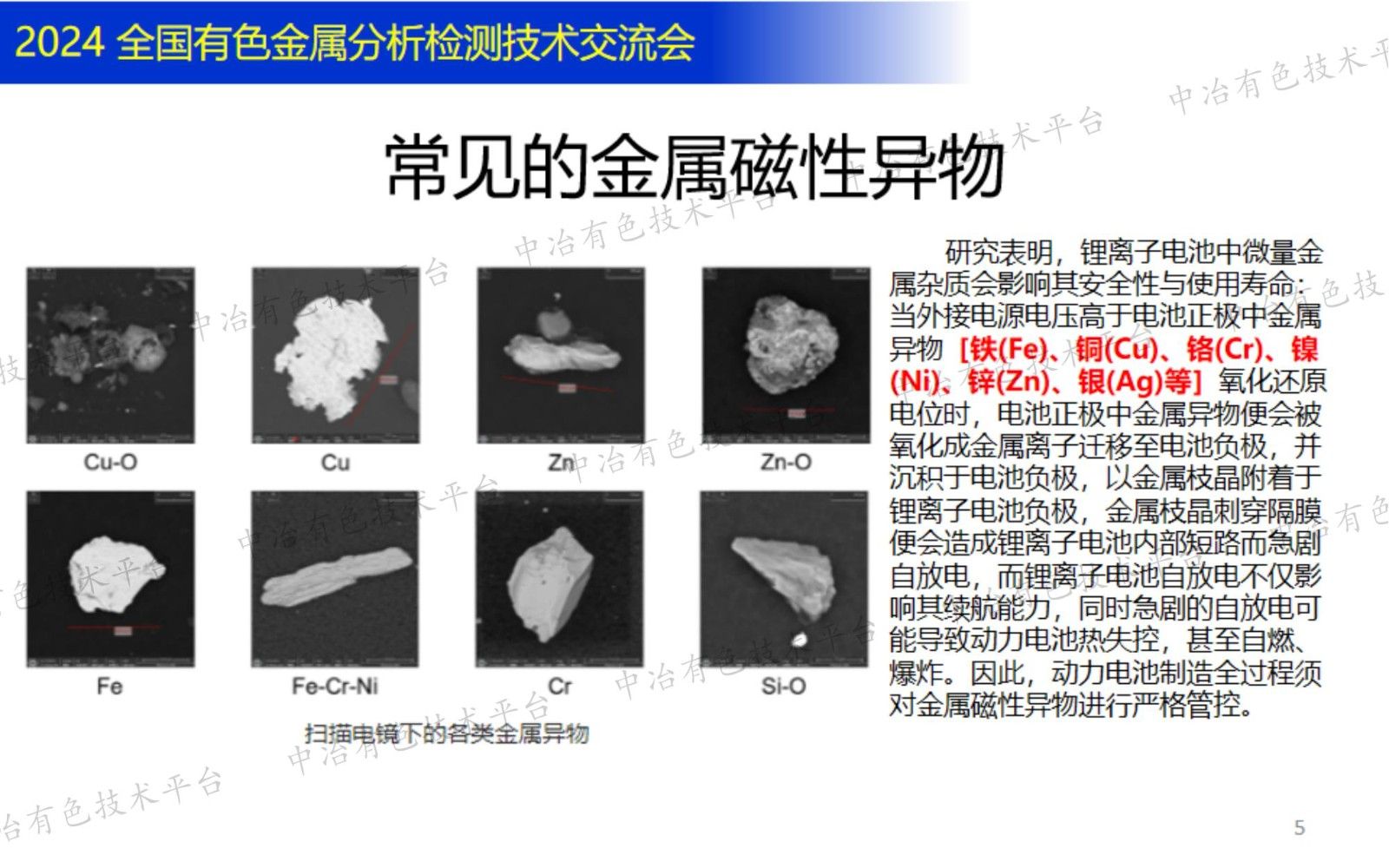 鋰電材料金屬及磁性異物分析與過程控制