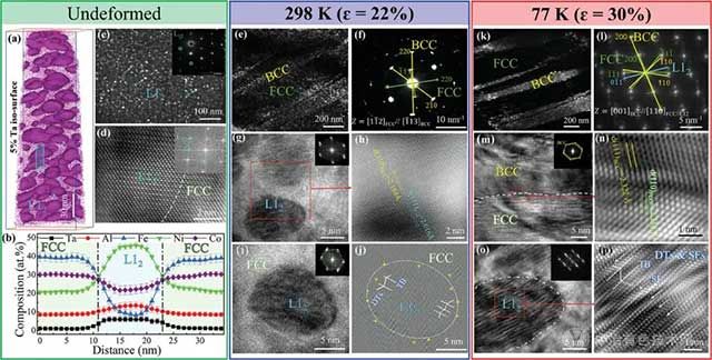 Fe35Co29Ni24Al10Ta2合金的初始態(tài)、室溫變形和低溫變形微觀結構