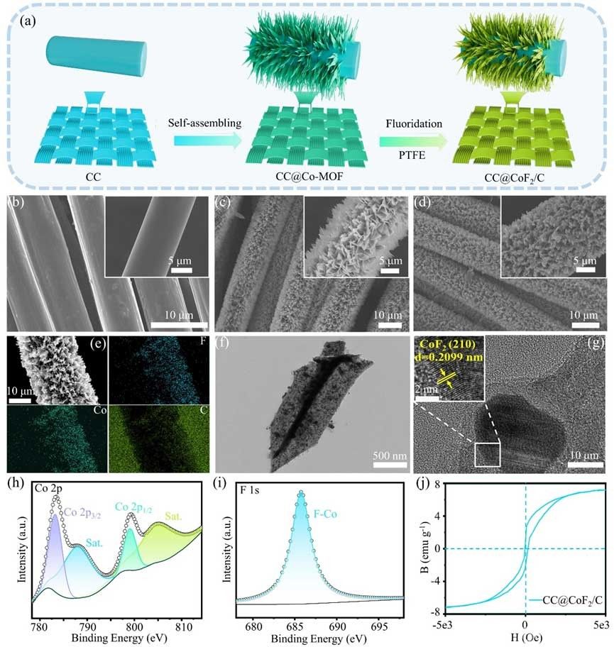 燕山大學(xué)馬志鵬、宋愛玲、邵光杰團隊AFM：鐵磁性CC@CoF2/C調(diào)控鋰動態(tài)軌跡實現(xiàn)超長深鍍沉積鋰金屬電池